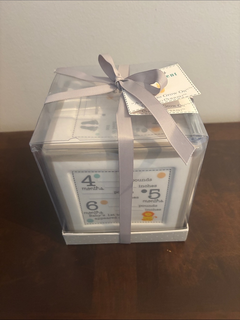 Sweet Baby Announcement Piggy Bank